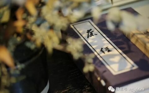 关于小青柑,从怎么选到怎么泡,你想问的所有问题,答案都这里!