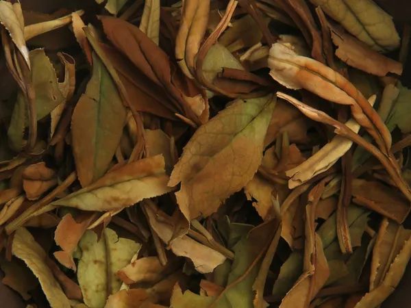 用安吉白茶做白茶？那苍老师也能过教师节了！（附安吉“白茶”品鉴报告）