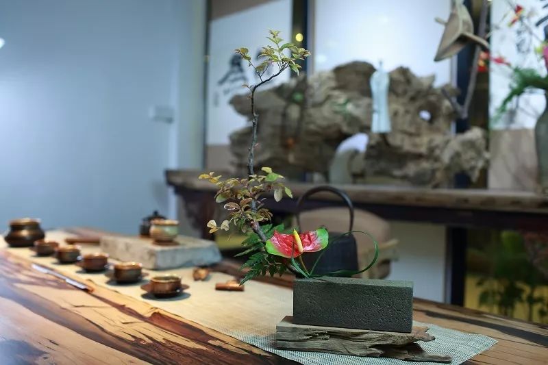 泡不同茶类的茶席该如何插花，钻研花道15年的插花大咖为你一一详解！