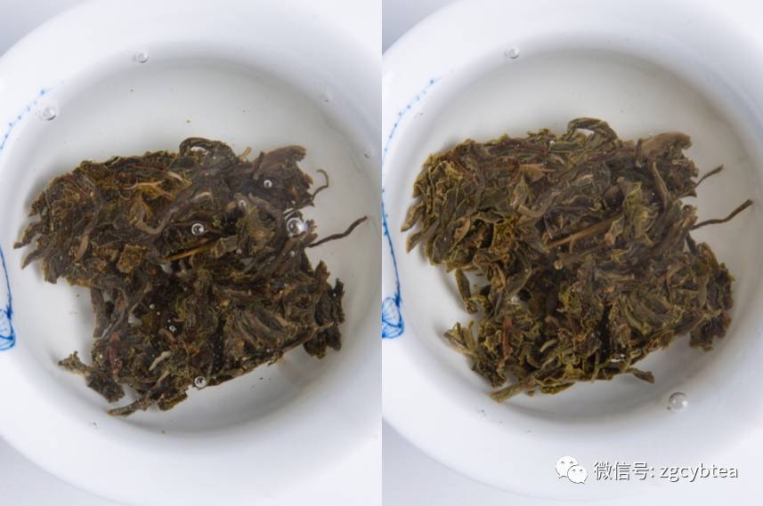 同款茶,茶馆老板泡出千元级滋味,你只泡出百元级,秘诀在哪儿?