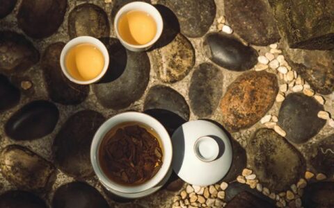 什么是普洱茶风味轮？茶叶专家周红杰教授为你详解普洱茶风味知识