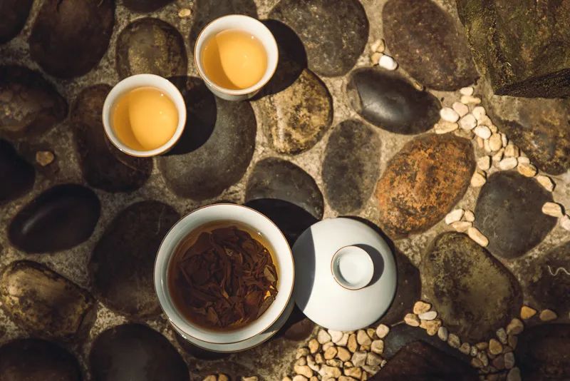 什么是普洱茶风味轮？茶叶专家周红杰教授为你详解普洱茶风味知识