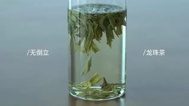 会倒立的才是好绿茶？我们给你做了这个实验