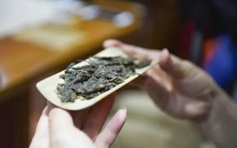 疯狂实验：饼、砖、沱,不同的紧压茶该用哪种工具撬茶最省力？