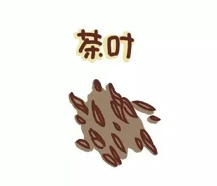 夏季白茶冲泡全器具教学，让你随时冲泡一杯解暑茶饮