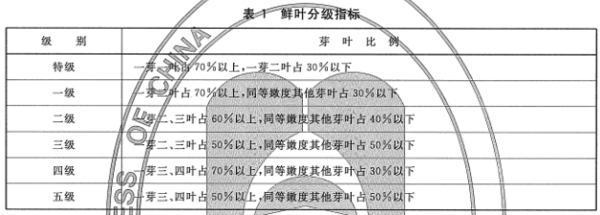 如果你还在认为茶就是要单芽的好，那我劝你多长点心眼