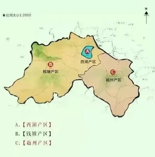 如何喝到一杯正宗的西湖龙井？记住五个绝招，缺一不可！