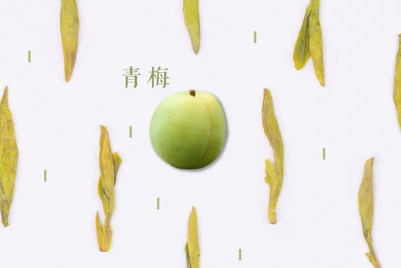 绿茶品饮正当时，该如何形容它丰富多层的香气？我们一层一层剥给你看
