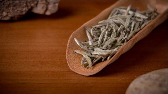 这篇万字超长文教你读懂关于白茶的几乎所有细节！可收藏作工具书使用