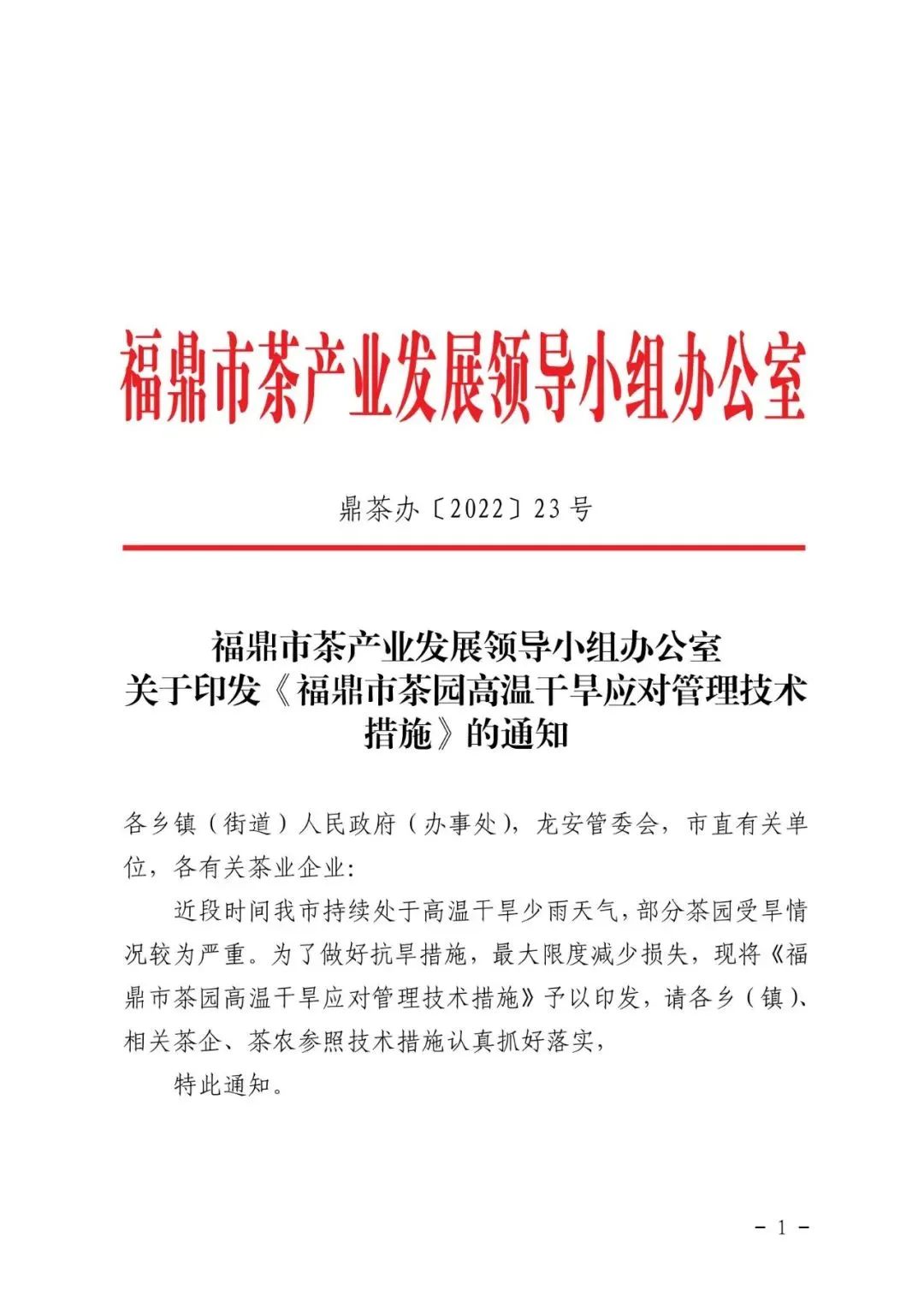 热！多地茶区面临高温天气，往后一年茶叶价格再翻一番？