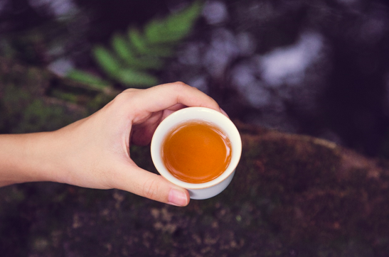 你所关心的武夷岩茶最“火”问题来了！