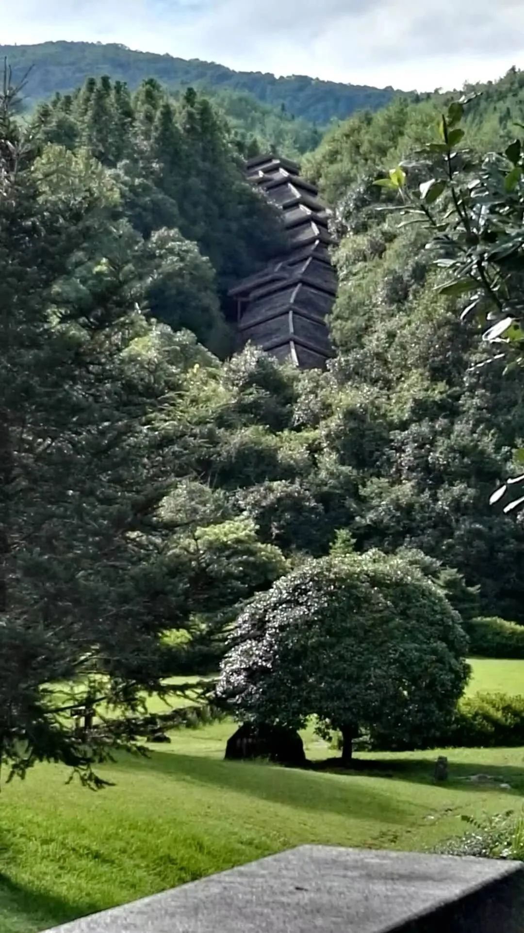 不想家里蹲，出门找优质山泉水泡茶去了！！！