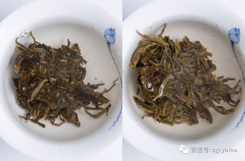 同款茶,茶馆老板泡出千元级滋味,你只泡出百元级,秘诀在哪儿?