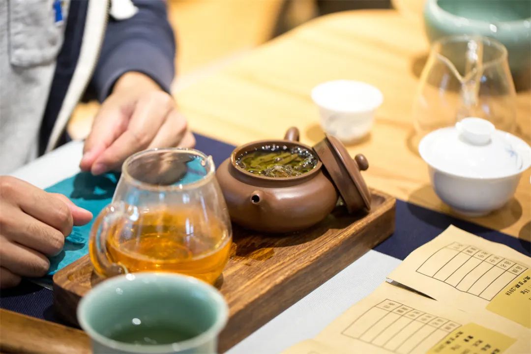 明知是坑，为什么我还是要入茶坑