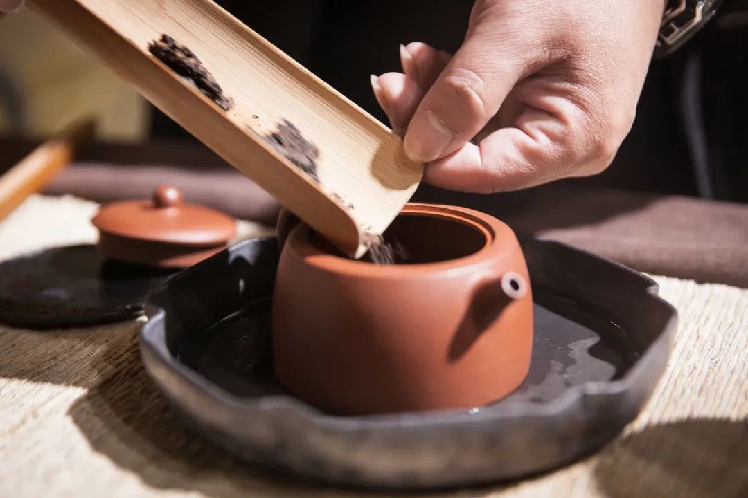 明知是坑，为什么我还是要入茶坑