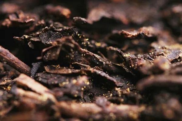 变质茶叶到底能不能喝?普洱茶专家周红杰为你详解