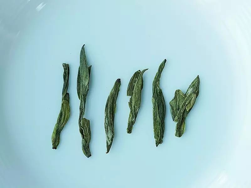 一口气泡了17款绿茶,验证是否只有龙井才能在茶汤中倒立?
