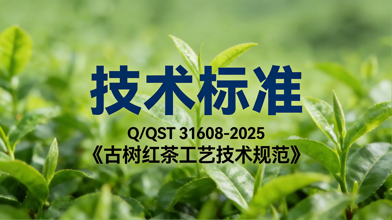Q/QST 31608-2025《古树红茶工艺技术规范》技术标准