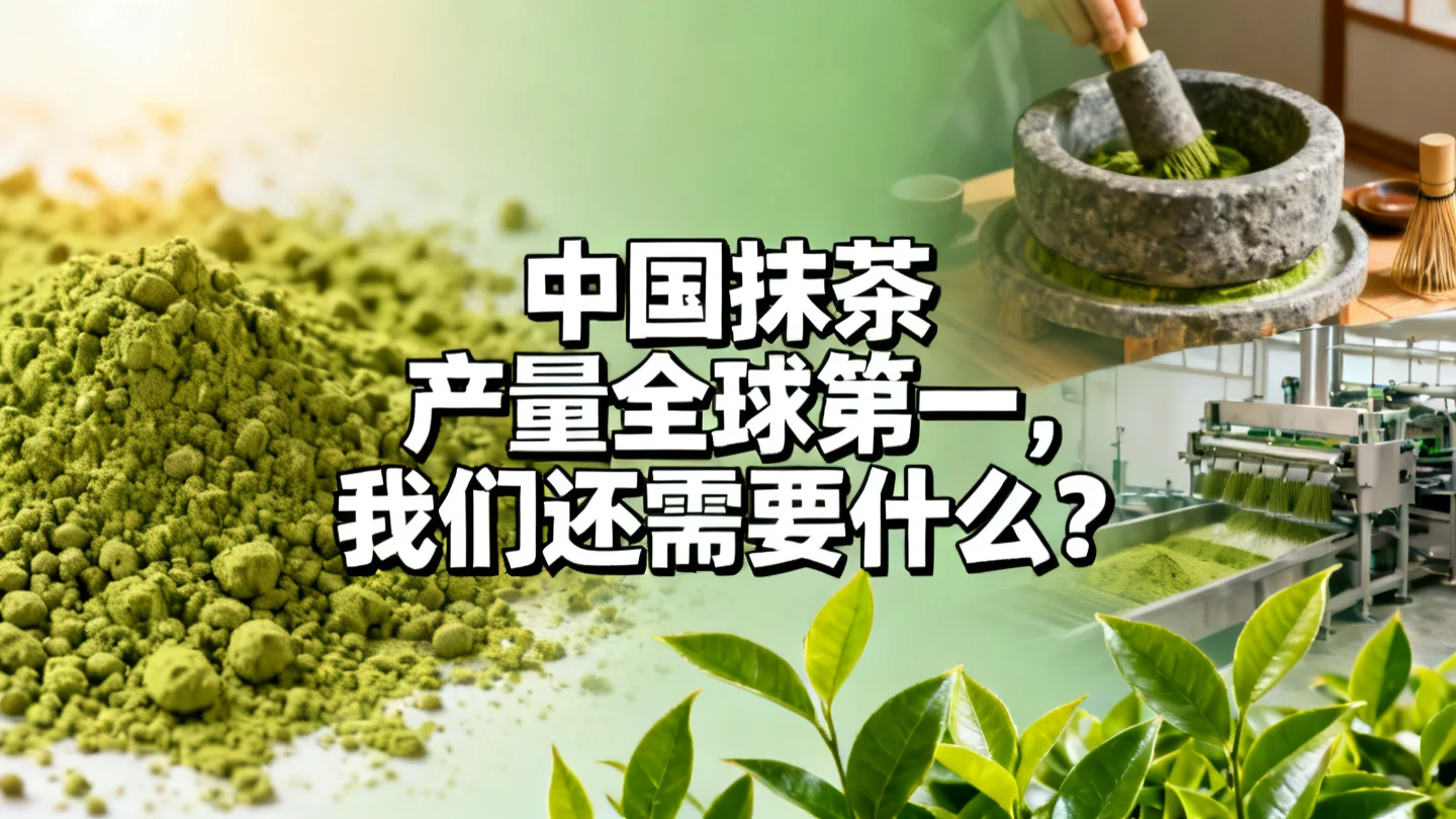 中国抹茶产量全球第一的背后,我们还需要什么?
