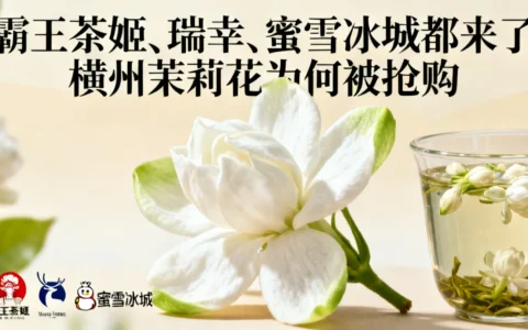 霸王茶姬、瑞幸、蜜雪冰城都来了，横州茉莉花为何被抢